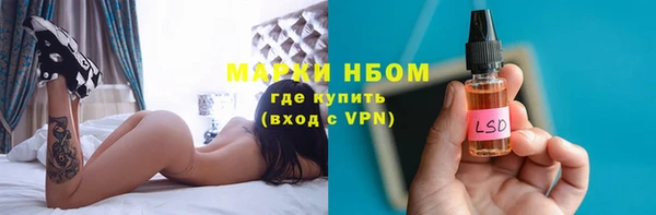 хмурый Алексин