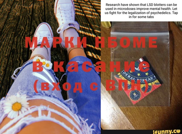 хмурый Алексин