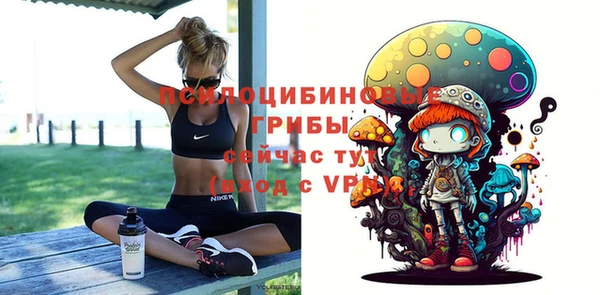 хмурый Алексин