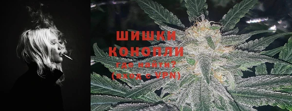 гидра Алексеевка